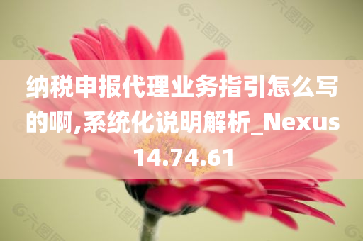 纳税申报代理业务指引怎么写的啊,系统化说明解析_Nexus14.74.61