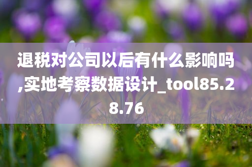 退税对公司以后有什么影响吗,实地考察数据设计_tool85.28.76