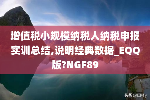 增值税小规模纳税人纳税申报实训总结,说明经典数据_EQQ版?NGF89