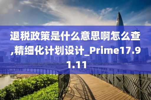 退税政策是什么意思啊怎么查,精细化计划设计_Prime17.91.11