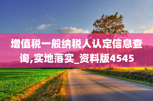 增值税一般纳税人认定信息查询,实地落实_资料版4545