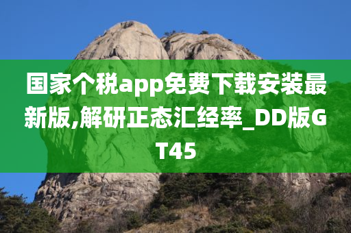 国家个税app免费下载安装最新版,解研正态汇经率_DD版GT45