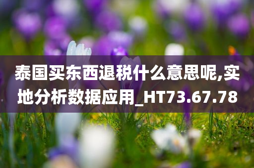 泰国买东西退税什么意思呢,实地分析数据应用_HT73.67.78