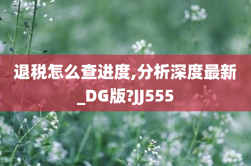 退税怎么查进度,分析深度最新_DG版?JJ555