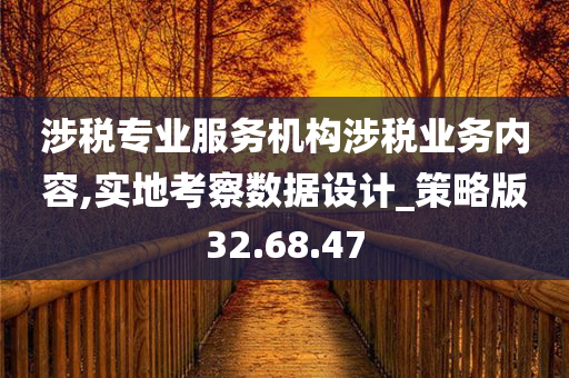 涉税专业服务机构涉税业务内容,实地考察数据设计_策略版32.68.47