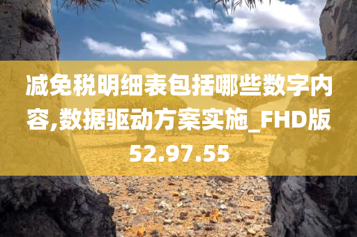 减免税明细表包括哪些数字内容,数据驱动方案实施_FHD版52.97.55