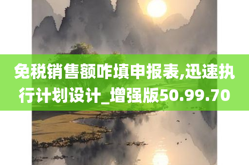 免税销售额咋填申报表,迅速执行计划设计_增强版50.99.70