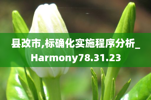 县改市,标确化实施程序分析_Harmony78.31.23