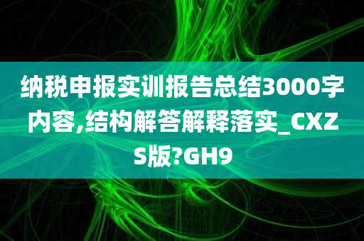 纳税申报实训报告总结3000字内容,结构解答解释落实_CXZS版?GH9