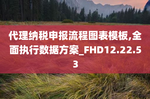 代理纳税申报流程图表模板,全面执行数据方案_FHD12.22.53