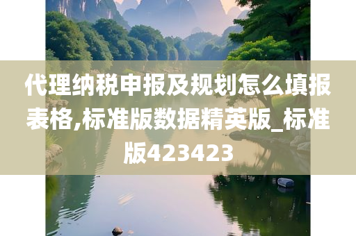 代理纳税申报及规划怎么填报表格,标准版数据精英版_标准版423423