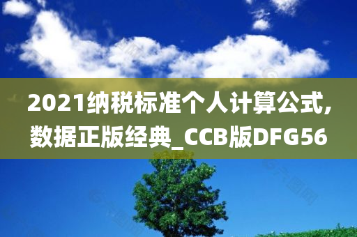 2021纳税标准个人计算公式,数据正版经典_CCB版DFG56