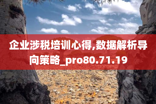 企业涉税培训心得,数据解析导向策略_pro80.71.19