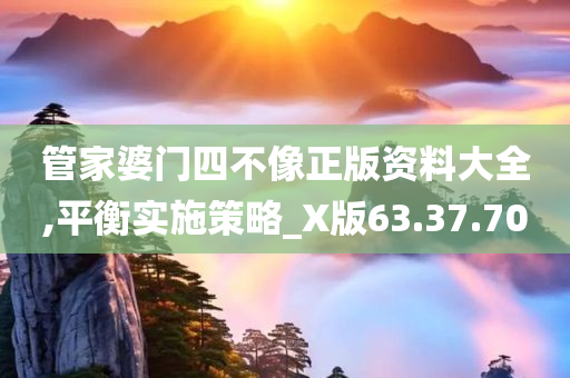 管家婆门四不像正版资料大全,平衡实施策略_X版63.37.70