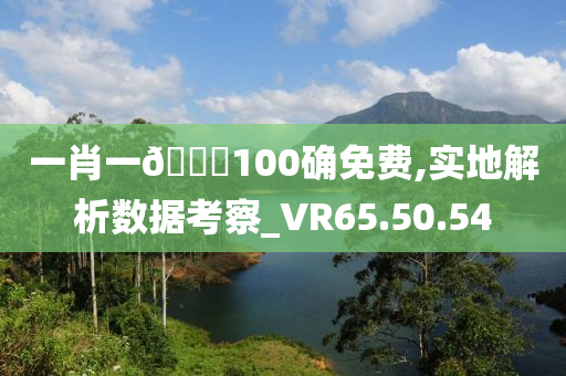 一肖一🐎100确免费,实地解析数据考察_VR65.50.54