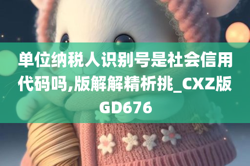 单位纳税人识别号是社会信用代码吗,版解解精析挑_CXZ版GD676