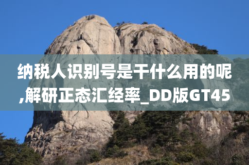 纳税人识别号是干什么用的呢,解研正态汇经率_DD版GT45