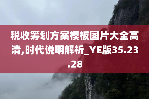 税收筹划方案模板图片大全高清,时代说明解析_YE版35.23.28