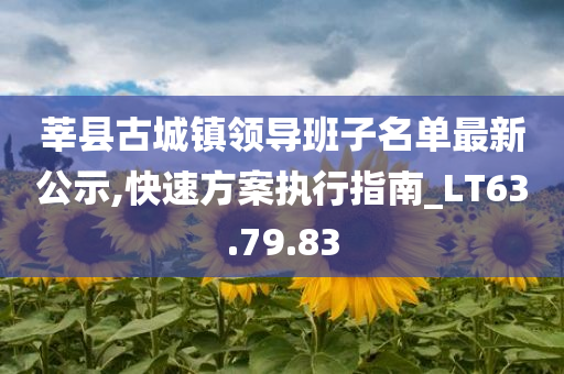 莘县古城镇领导班子名单最新公示,快速方案执行指南_LT63.79.83