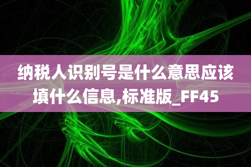 纳税人识别号是什么意思应该填什么信息,标准版_FF45