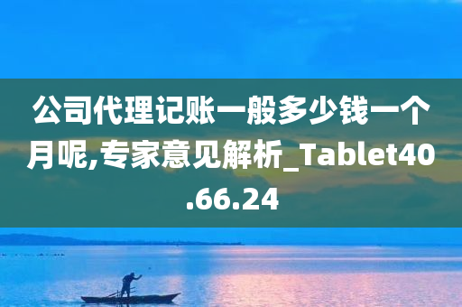 公司代理记账一般多少钱一个月呢,专家意见解析_Tablet40.66.24