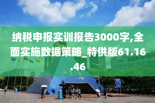 纳税申报实训报告3000字,全面实施数据策略_特供版61.16.46