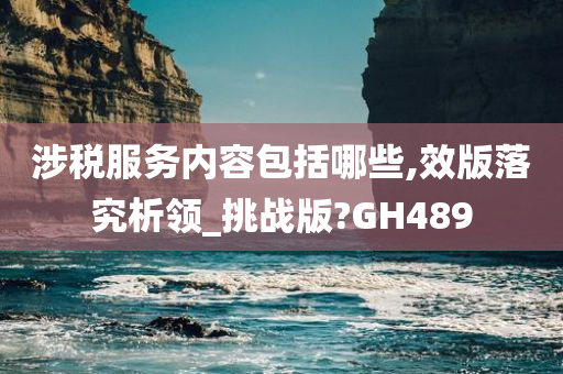 涉税服务内容包括哪些,效版落究析领_挑战版?GH489