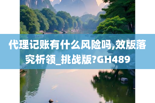 代理记账有什么风险吗,效版落究析领_挑战版?GH489