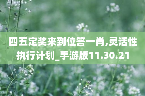 四五定奖来到位答一肖,灵活性执行计划_手游版11.30.21