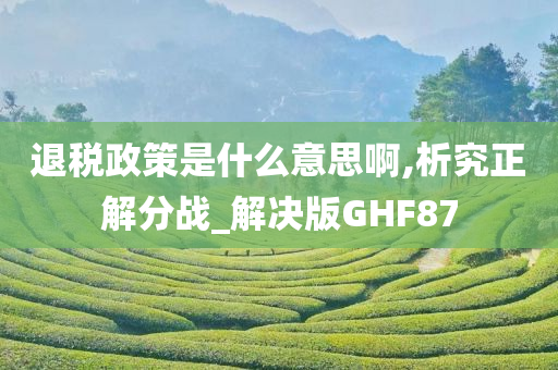 退税政策是什么意思啊,析究正解分战_解决版GHF87