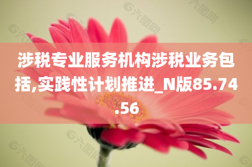 涉税专业服务机构涉税业务包括,实践性计划推进_N版85.74.56