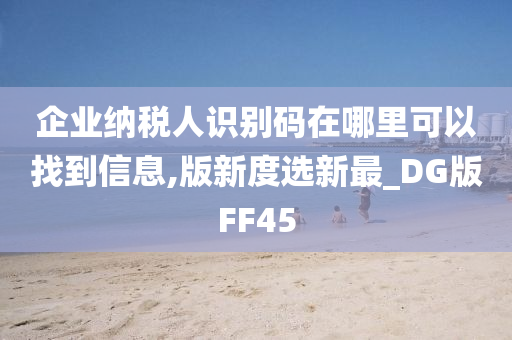 企业纳税人识别码在哪里可以找到信息,版新度选新最_DG版FF45