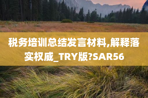 税务培训总结发言材料,解释落实权威_TRY版?SAR56