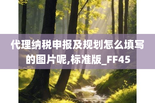 代理纳税申报及规划怎么填写的图片呢,标准版_FF45