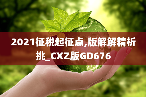 2021征税起征点,版解解精析挑_CXZ版GD676