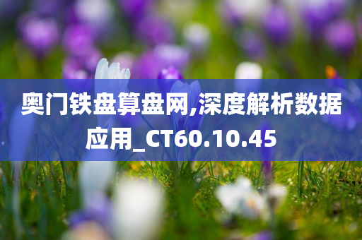 奥门铁盘算盘网,深度解析数据应用_CT60.10.45