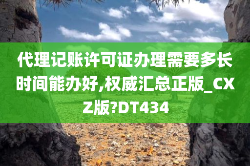 代理记账许可证办理需要多长时间能办好,权威汇总正版_CXZ版?DT434