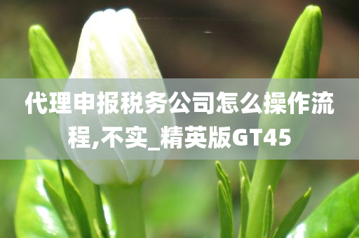 代理申报税务公司怎么操作流程,不实_精英版GT45