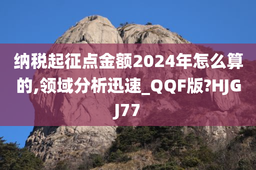 纳税起征点金额2024年怎么算的,领域分析迅速_QQF版?HJGJ77