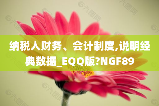 纳税人财务、会计制度,说明经典数据_EQQ版?NGF89