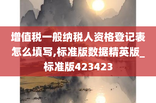 增值税一般纳税人资格登记表怎么填写,标准版数据精英版_标准版423423