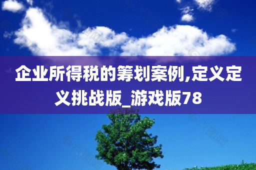 企业所得税的筹划案例,定义定义挑战版_游戏版78