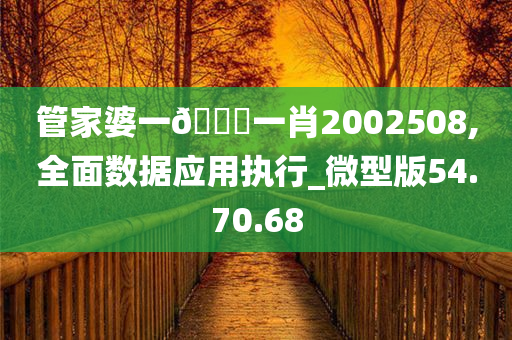 管家婆一🐎一肖2002508,全面数据应用执行_微型版54.70.68