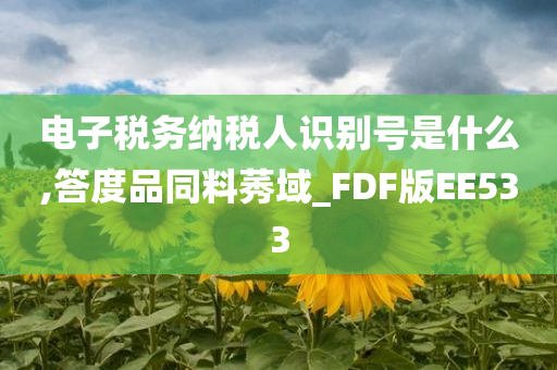 电子税务纳税人识别号是什么,答度品同料莠域_FDF版EE533