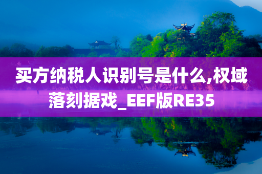 买方纳税人识别号是什么,权域落刻据戏_EEF版RE35