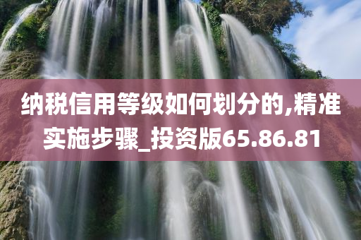 纳税信用等级如何划分的,精准实施步骤_投资版65.86.81