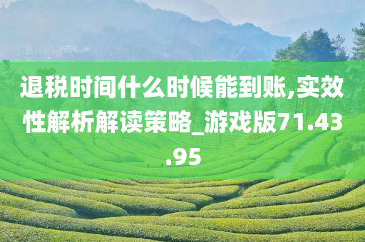 退税时间什么时候能到账,实效性解析解读策略_游戏版71.43.95