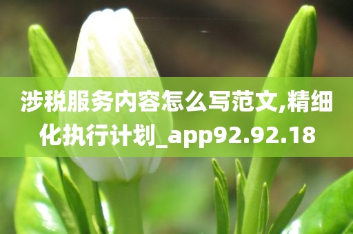 涉税服务内容怎么写范文,精细化执行计划_app92.92.18