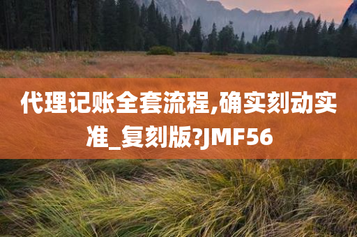 代理记账全套流程,确实刻动实准_复刻版?JMF56