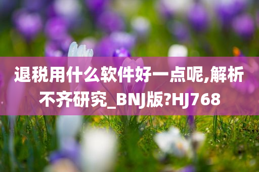 退税用什么软件好一点呢,解析不齐研究_BNJ版?HJ768